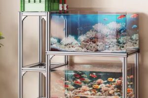 Chân hồ cá phòng khách – Giải pháp decor sang trọng cho showroom & cửa hàng