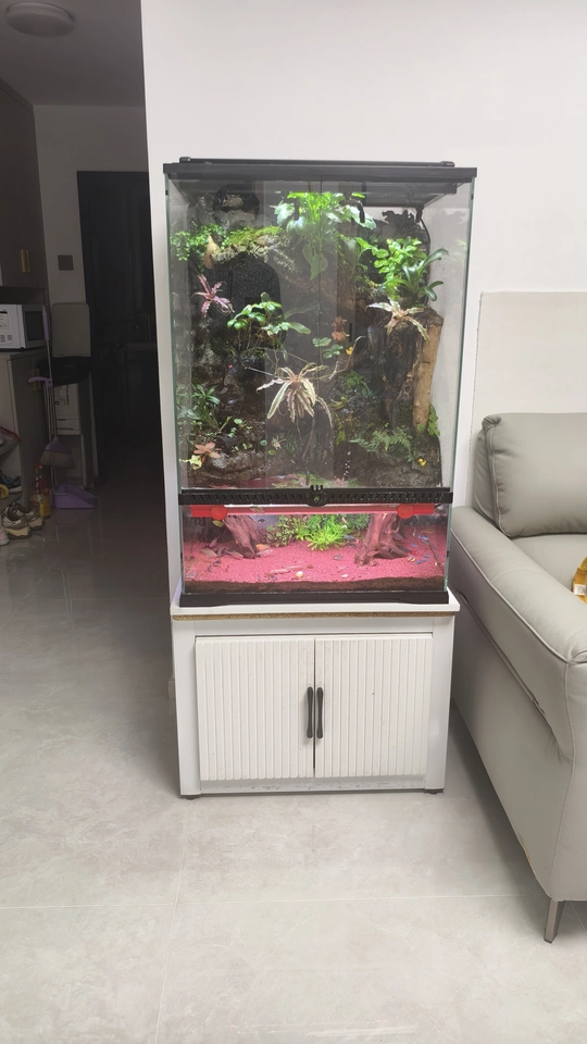 Kệ hồ cá mẫu nhiều tầng