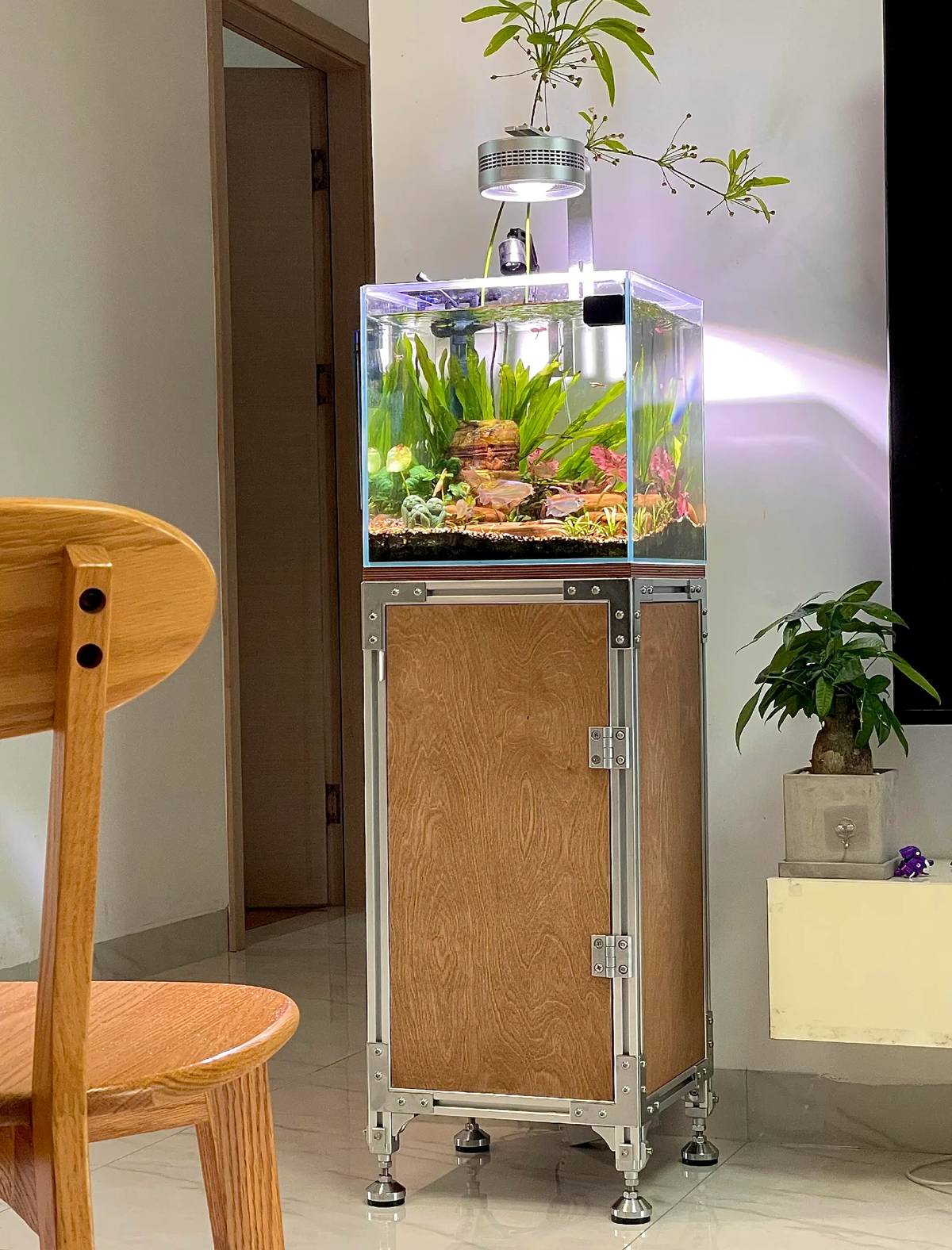 download_1772069183445